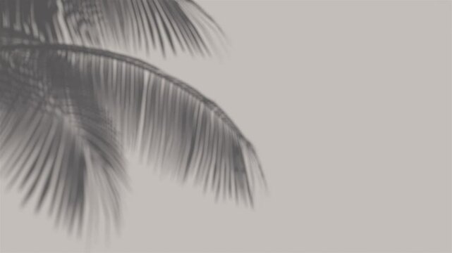 shadow palm leaf in the wind blowing overlay on white wall background wall textures, video background for Product