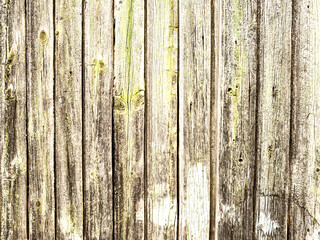 Fototapeta premium Discover the Artistry of Wooden Texture as a Mesmerizing Background