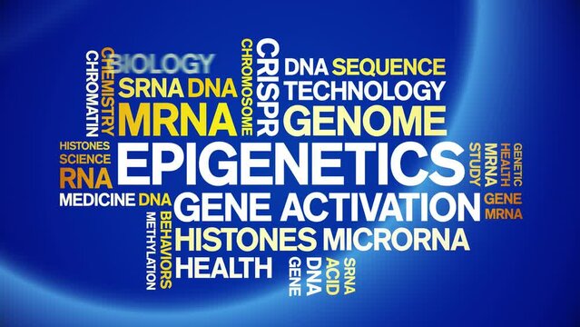 Epigenetics animated word cloud;text design animation tag kinetic typography seamless loop.