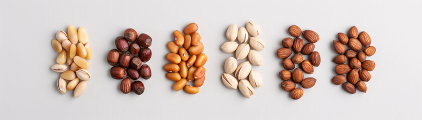 Obraz premium Assortment of various nuts in rows on white background.