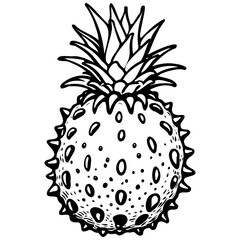 Obraz premium Black Kiwano drawing, vector realistic outline fruit, transparent background