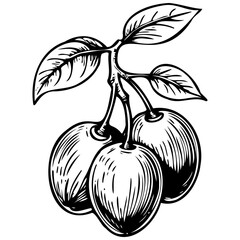 Engrave Date Plum black hand drawn fruit illustration, transparent background
