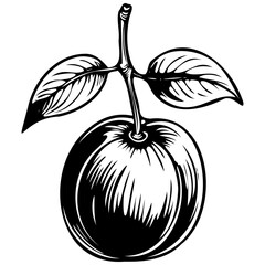 Ground Plum black hand drawn fruit illustration, transparent background