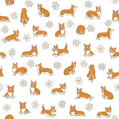 Obraz premium Cute corgi dogs and flowers seamless pattern. Vector illustration.