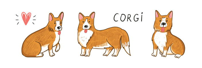 Corgi dog vector illustrations set.