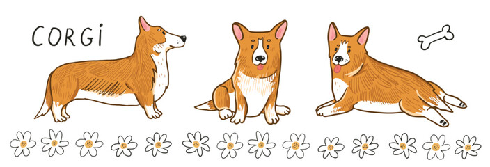 Fototapeta premium Corgi dog vector illustrations set.