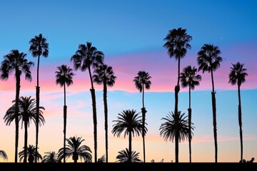 Obraz premium Sunset palms silhouettes against vibrant twilight sky