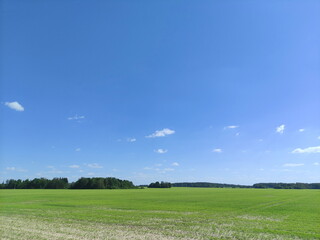 Beautiful European farming landscape with blue sky and green field at Sunny Summer day