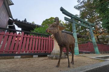 三翁神社