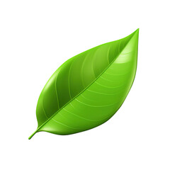 Fototapeta premium green leaf isolated on transparent background, clipping path, png. 