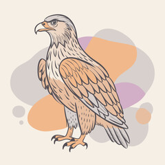 eagle in the sky
