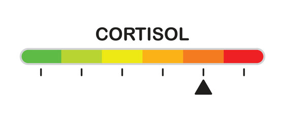 Color scale, cortisol level indicator, stress and anxiety measurement, flat design.