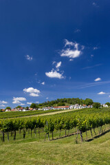 Fototapeta premium Traditional wine cellars with vineyard in Galgenberg near Wildendurnbach, Lower Austria, Austria