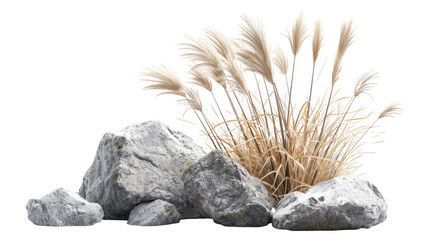 Dry Ornamental Grass Among Rocks