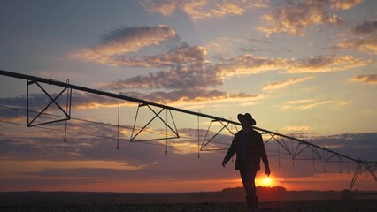 irrigation. The farmer walk silhouette of a corn field stands out against the horizon. agriculture...