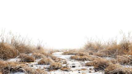 Dry Grass with Snow Patches