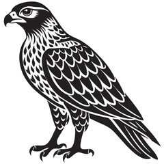 eagle isolated on white background