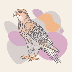 illustration of a bird