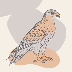 illustration of a bird