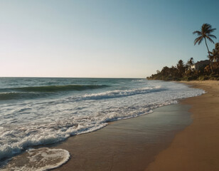 Una spiaggia serena, con il mare azzurro, sabbia finissima e palme alte e verdi.