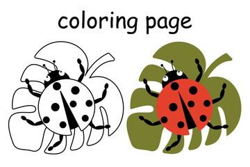 Vector Cute ladybug sitting on a leaf. illustration for coloring book