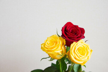 赤と黄色のばら