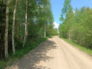 Road in forest in Siauliai county during sunny summer day. Oak and birch tree woodland. Sunny day with white clouds in blue sky. Bushes are growing in woods. Sandy road. Nature. Summer season. Miskas.