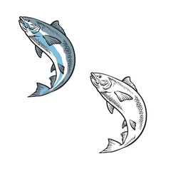 Cartoon salmon drawing with line art style. Simple design outline style. Easy to edit. Hand drawn. Vector illustration