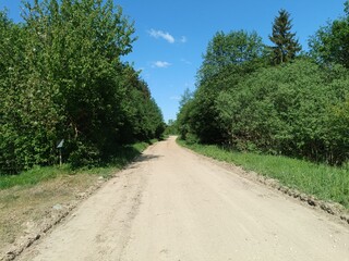 Road in forest in Siauliai county during sunny summer day. Oak and birch tree woodland. Sunny day with white clouds in blue sky. Bushes are growing in woods. Sandy road. Nature. Summer season. Miskas.