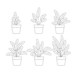 Set of Line drawing house plants vector illustration 