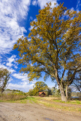 Fototapeta premium Gemenc, unique forest between Szekszard and Baja, Dunaj-Drava National Park, Hungary