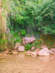 Waterfall in the lake