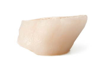 One fresh raw scallop isolated on white