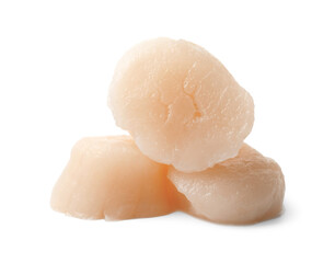 Pile of peeled raw scallops isolated on white