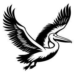 Fototapeta premium Australian pelican is flying with two leg silhouette vector style
