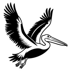 Australian pelican is flying with two leg silhouette vector style