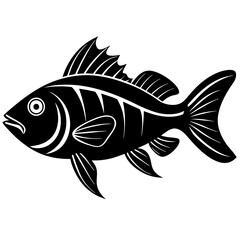 pan gash fish silhouette vector art illustration