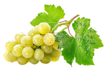 Closeup view of green grapes hanging on the vine with green leaves, isolated on a white transparent background