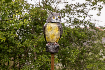 Plastic owl bird scarer on decking post to deter birds from making a mess