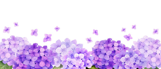 Watercolor violet hydrangea flowerhead banner