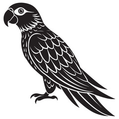 illustration of an eagle