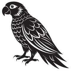illustration of a parrot