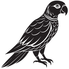 illustration of a bird