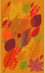 Obraz premium autumn background with leaves