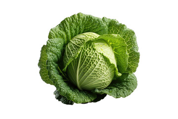 Obraz premium I Love Cabbage (PNG 10800x7200)