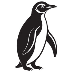 penguin illustration