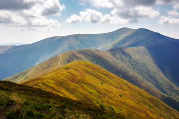 Fototapeta premium scenic carpathian mountains with stoj peak in the distance. scenery with grassy slopes of borzhava ridge on a sunny summer day in dappled light. transcarpathia travel destination. ukraine landscape