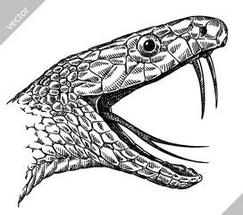 Naklejka premium Vintage engraving isolated snake set illustration serpent ink sketch. Reptile asp background viper silhouette cobra art. Black and white hand drawn vector image