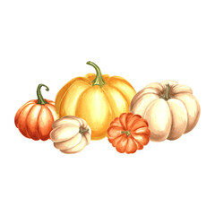 Pumpkins orange, yellow and white. Autumn composition. Hand drawn watercolor illustration, isolated. Thanksgiving traditional vegetable. Template for invitation, card, Halloween, wrapping, embroidery.