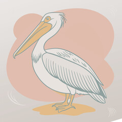 illustration of a pelican